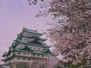 日本：一個人旅行兩天一夜