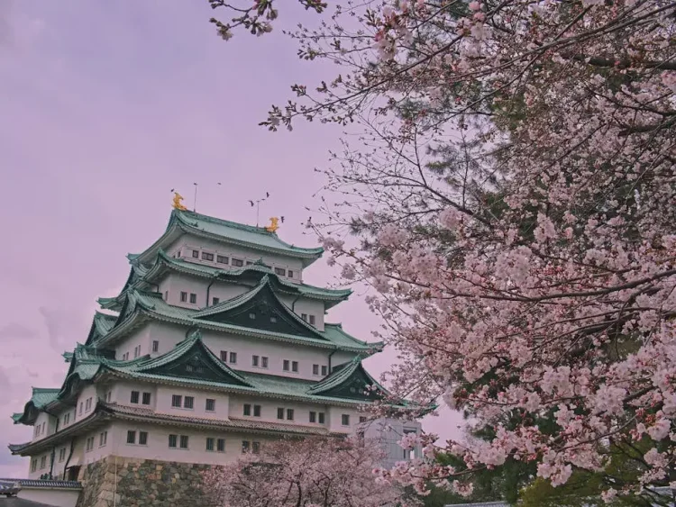 日本：一個人旅行兩天一夜